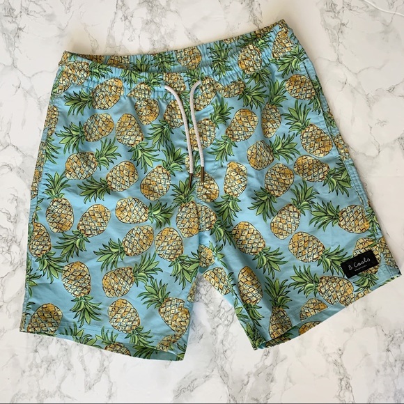 BARNEY COOLS BLUE GREEN PINEAPPLE SWIM SHORTS - Picture 3 of 7